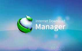IDM 下载进阶：高级功能深度解析，发挥最大效能