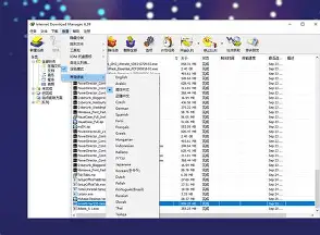 IDM全场景实用技巧指南：从新手入门到进阶高效，榨干每一寸带宽